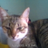 Picture 16.jpg Picture 16.jpg